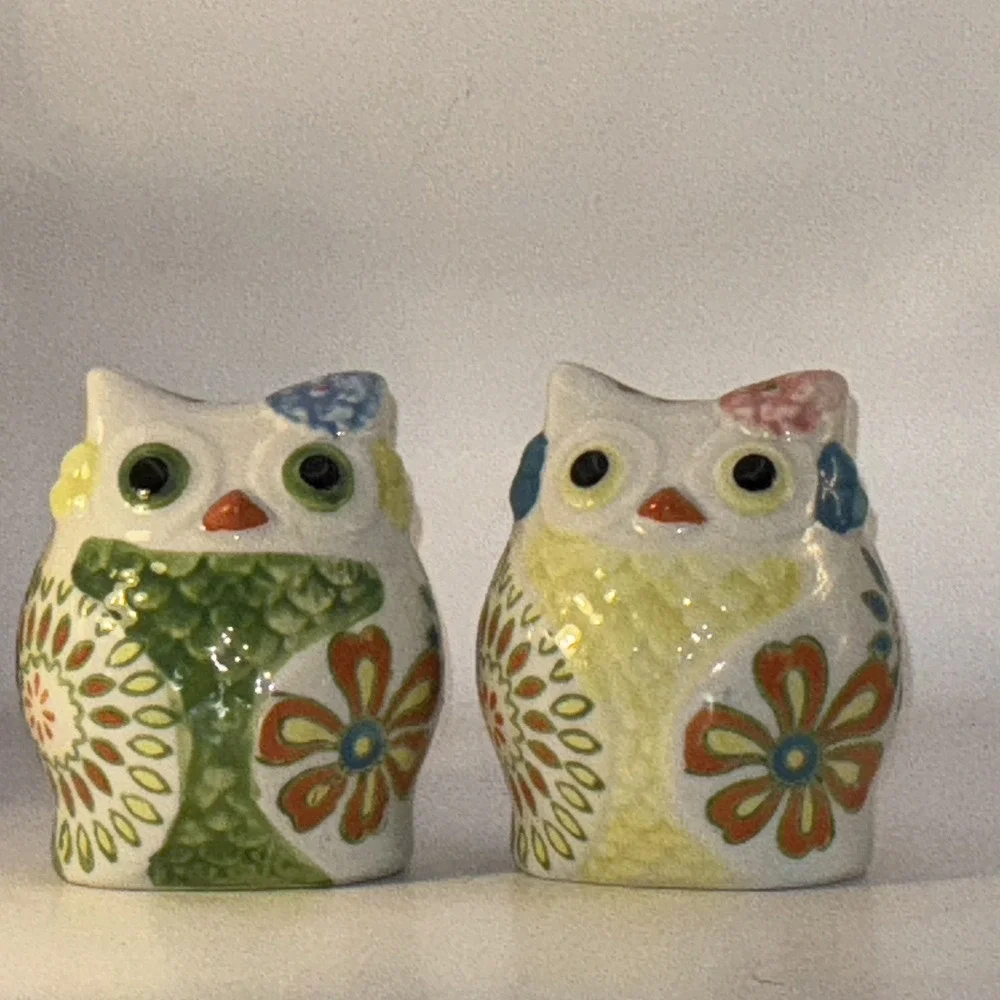 Pier 1 Imports Owl Salt & Pepper Shakers Multicolor Floral Ceramic 3